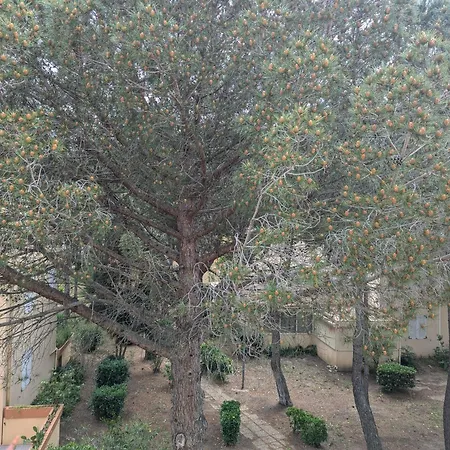 Apartment T2 Climatise Avec Terrasse A 200m De La