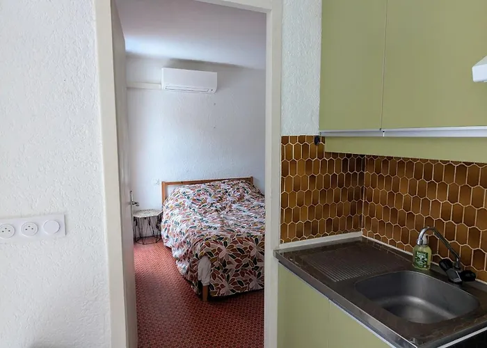 Apartmán T2 Climatise Avec Terrasse A 200m De La *