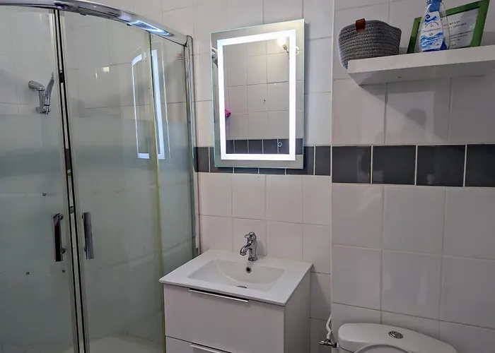 Apartmán T2 Climatise Avec Terrasse A 200m De La