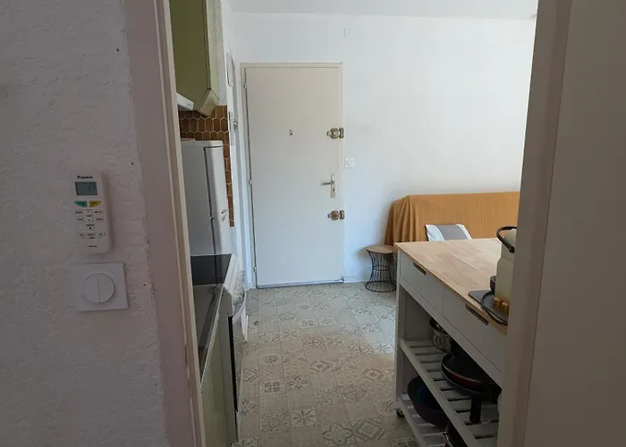 T2 Climatise Avec Terrasse A 200m De La Argelès-sur-Mer